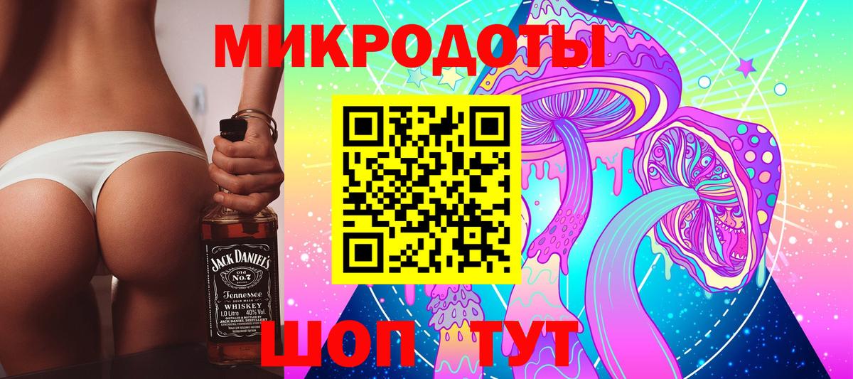 Галлюциногенные грибы Psilocybe Елабуга